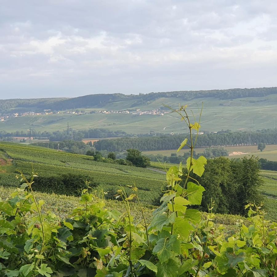 Chambres La Fabiere Vauciennes -Epernay ภายนอก รูปภาพ